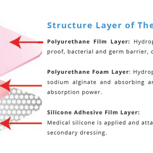 Therasorb Border - Silicone Bordered Wound Dressing